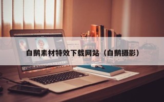 永春白鹅素材特效下载网站（白鹅摄影）